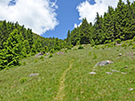 Nun folgen wir einem Wiesenweg...