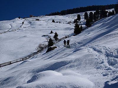 Am rechten Rand der schneebedeckten Almwiesen gewinnen wir schnell an Höhe
