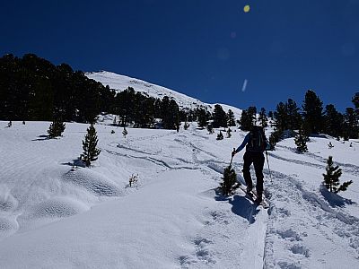 Durch eine breite Schneise ...
