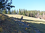 ...und wir erreichen das Almgelände der Mitterhütte