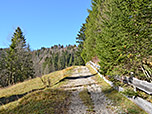 ...und gewinnen über einen Karrenweg die ersten Höhenmeter