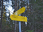 Wir treffen auf einen Querweg...