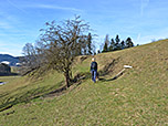 In zwei Kehren folgen wir dem Wiesenweg bergauf