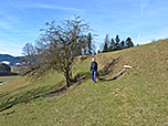 In zwei Kehren folgen wir dem Wiesenweg bergauf