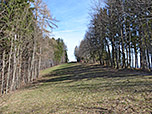 Zuerst wandern wir über eine Schneise...