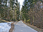 Wir durchwandern ein Waldstück