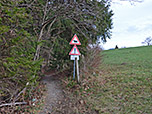 Wir folgen dem Waldrand...