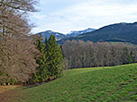 Im Hintergrund zeigt sich die Hochsalwand