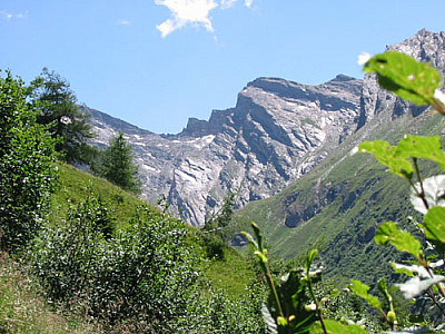 Der Weg geht über einen üppig wuchernden Hang