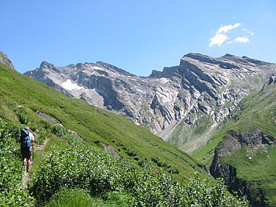 Ab 2000 m werden die Büsche kleiner