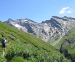 Ab 2000 m werden die Büsche kleiner