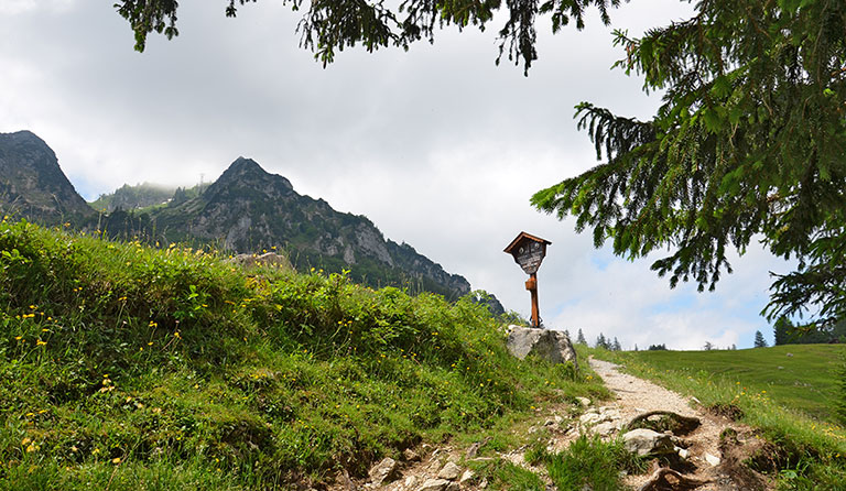 Hochfelln (1674 m) von der Steinbergalm