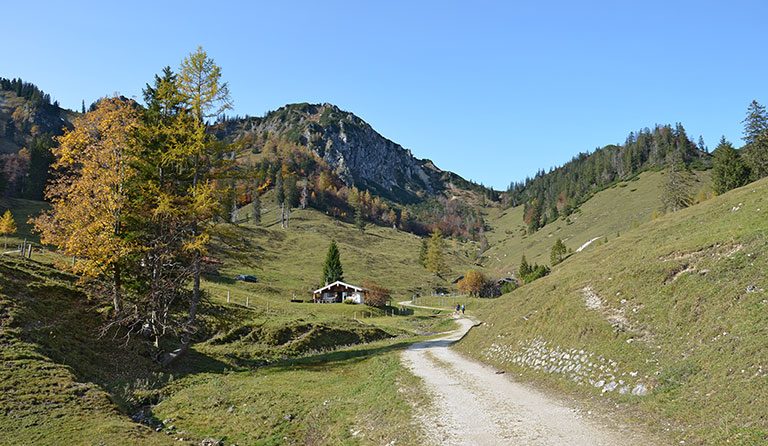 Hochfelln (1674 m) von der Staudiglhütte via Thoraualm