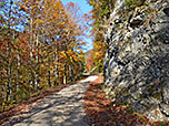 Der Forstweg leitet uns in morderater Steigung bergauf