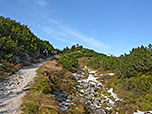 Wir treffen auf den Panoramarundweg