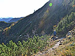 Wir biegen links in den Pfad zur Farnbödenalm ein