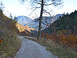...und folgen dem Fahrweg...