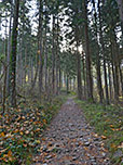 Der zuerst schmale Weg...