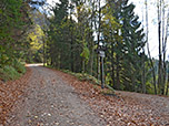 Der Weg Richtung Hochgernhaus ist bestens beschildert