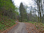 Nun wird der Weg etwas schmäler...