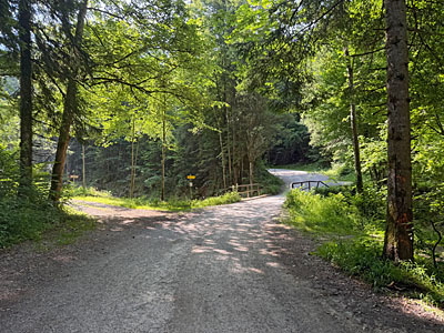 Wir verlassen den Wanderparkplatz und überquren den Kaltenbach