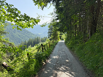Sobald sich die Bäume wieder zurückziehen, ...