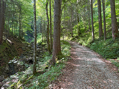 ...und wechseln auf die rechte Seite des Bachlaufs