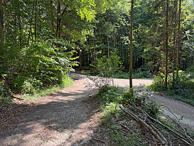 ...zu einer Mehrfachverzweigung