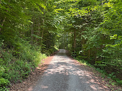 Wir halten uns abermals links