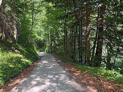...leitet uns der Weg steiler bergab