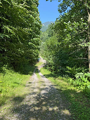 ...biegen wir links ab...