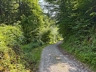 ...und wandern hinunter zum Kaltenbach