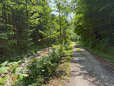Dem Bachlauf folgen wir schließlich zurück zum Parkplatz