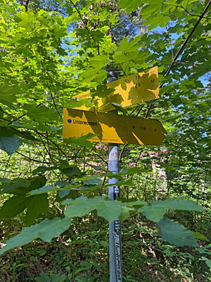 An einem Wegweiser wendet sich der Weg nach rechts