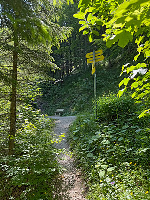 ...bringt uns zu einem Querweg