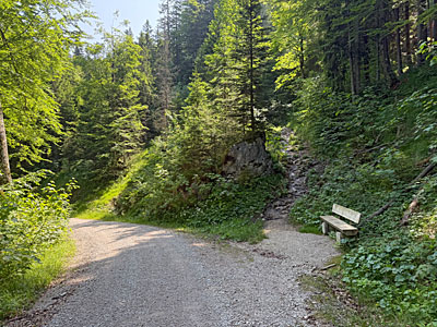 Wir überqueren den breiten Forstweg...