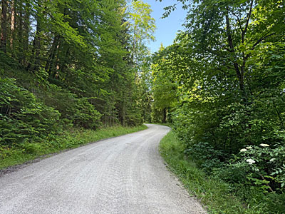 Dann folgen wir dem breiten Fahrweg bergauf...