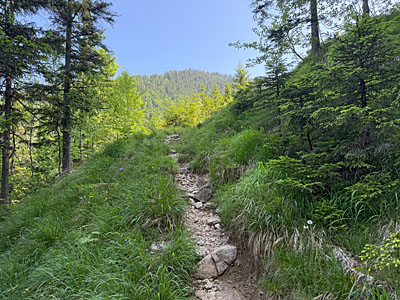 ...und setzen unseren Anstieg auf dem kleinen Pfad fort