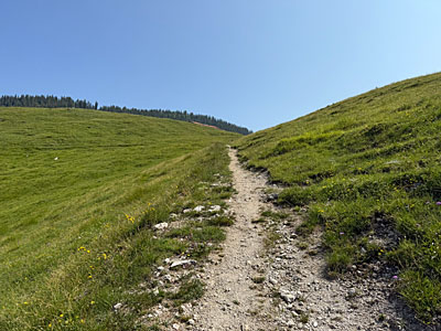 ...wandern wir zu einem Wiesensattel hinauf