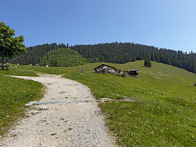 Schießlich erreichen wir die Jochbergalmen