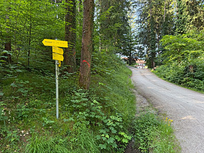 ...zu einer Verzweigung