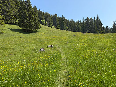 ...und steuern dann...