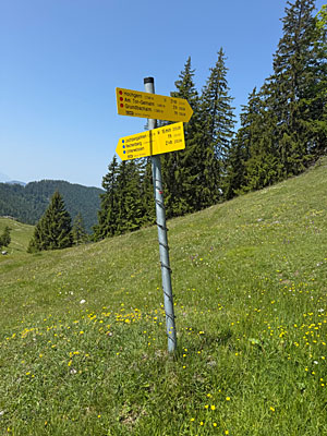 ...einen nächsten Wegweiser an