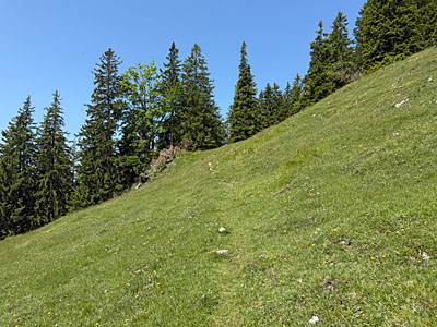 Die Route wendet sich nach links...