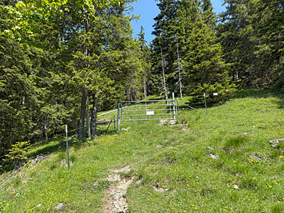 ...und wieder nach rechts