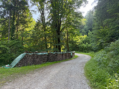 Wir biegen links ab...