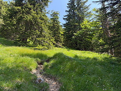 Nach einem Gatter...