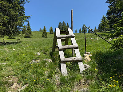 Wir überwinden einen Weidezaun...