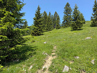 ...und setzen unseren Anstieg...