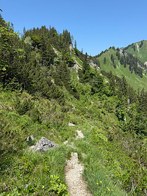 Wir verlassen den Wiesensattel rechtshaltend...